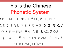 Chinese Food Delivery Near Me Cash Payment Made Easy