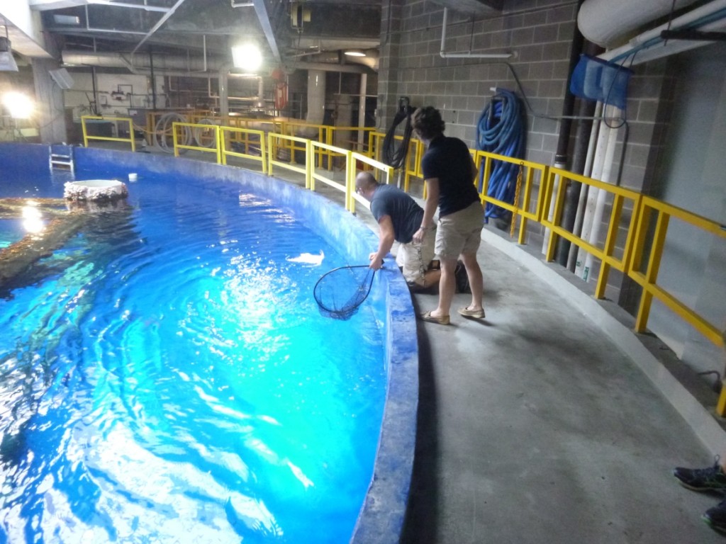 Moody Gardens, Galveston, Texas, United States - Theme-Park Review ...