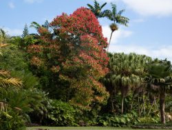 Miami Gardens A Vibrant Community in South Florida
