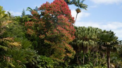 7 Gorgeous Gardens In And Around Miami For A Relaxing Stroll Through ...