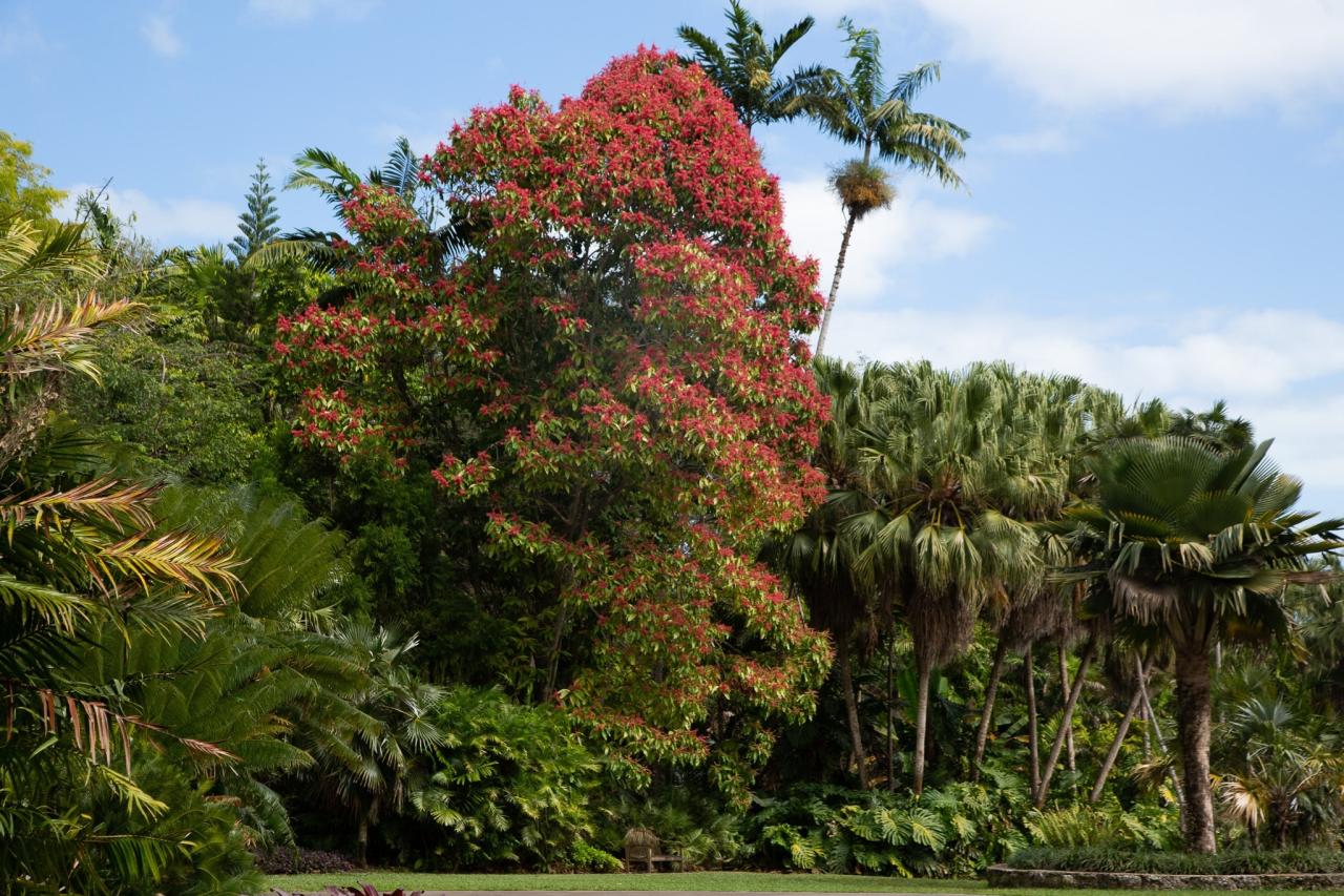 7 Gorgeous Gardens In And Around Miami For A Relaxing Stroll Through ...