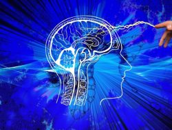 Storage Unit Near Me Find Your Perfect Space Today