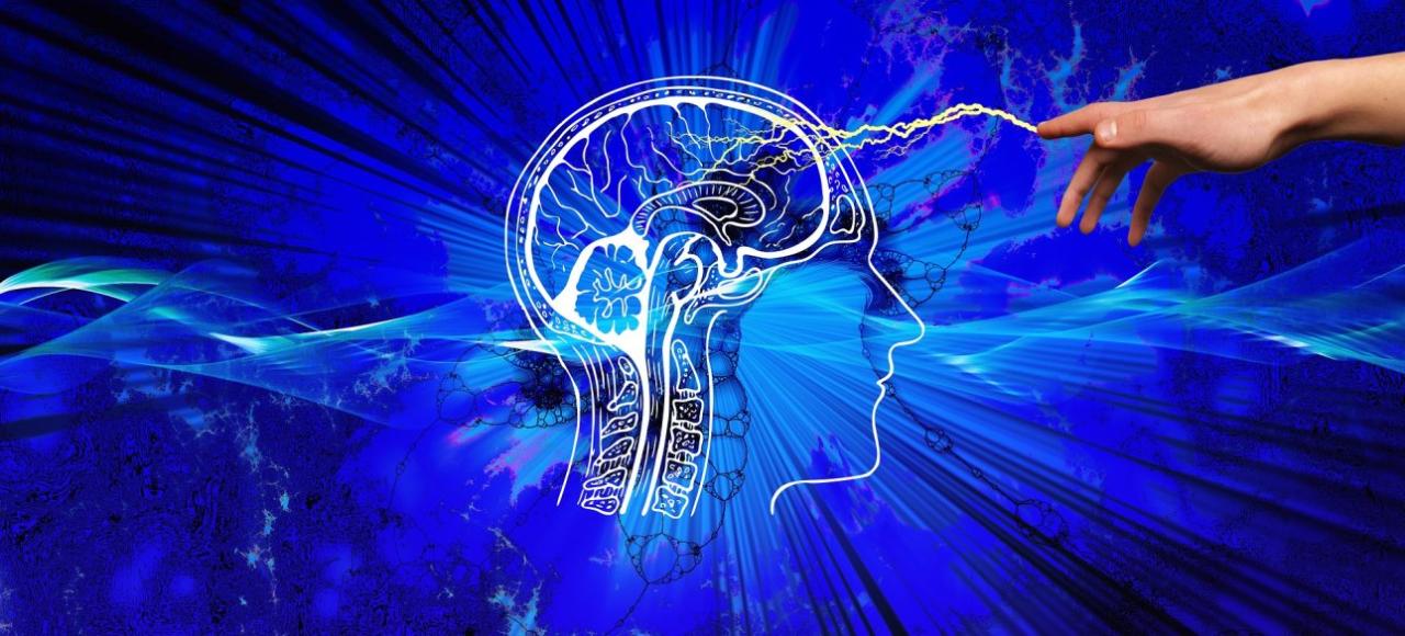 Poederbrieven en bezoek aan huis: natuurbeschermers worden steeds vaker ...