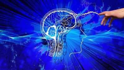 Poederbrieven en bezoek aan huis: natuurbeschermers worden steeds vaker ...