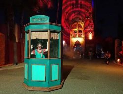 busch gardens tampa bay A Thrilling Adventure Awaits