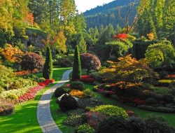 Botanical Gardens Near Me Discover Natures Beauty