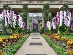 Longwood Gardens A Journey Through Natures Beauty