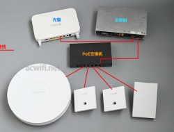 Ap Automation Market Size Trends And Insights