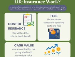 Cash Store Payment Portal Your Gateway To Convenience