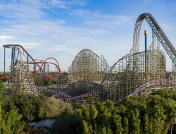 Busch Gardens Tampa An Unforgettable Adventure Awaits