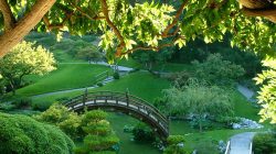 Storage shed essentials for organization and efficiency