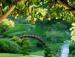 Storage shed essentials for organization and efficiency