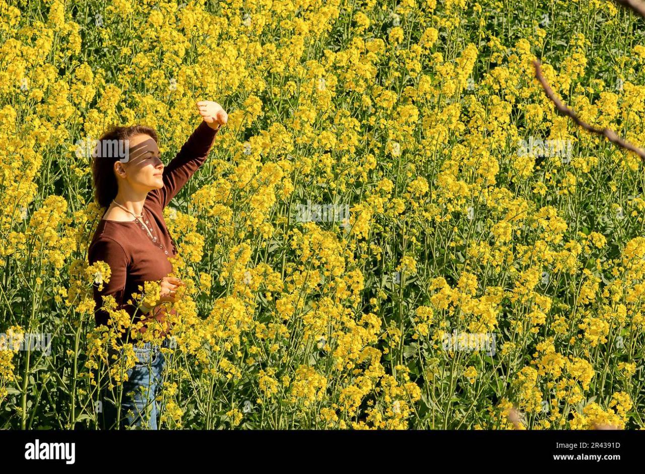 Dappled sunlight through early hi-res stock photography and images - Alamy