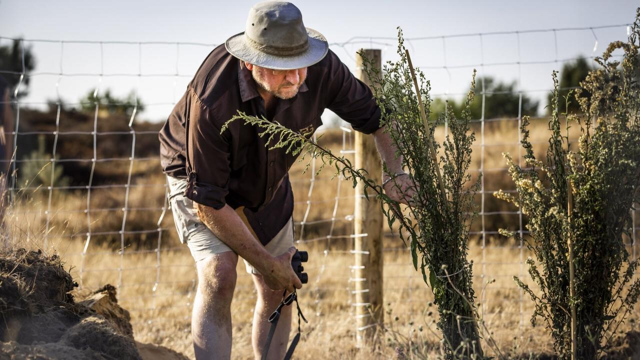 Storage Warehouse Facility Free Stock Photo - Public Domain Pictures