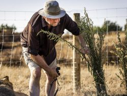 Storage treasures uncovering hidden gems in translation