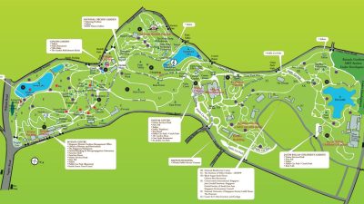 Are Dogs Allowed At National Botanical Gardens Dc