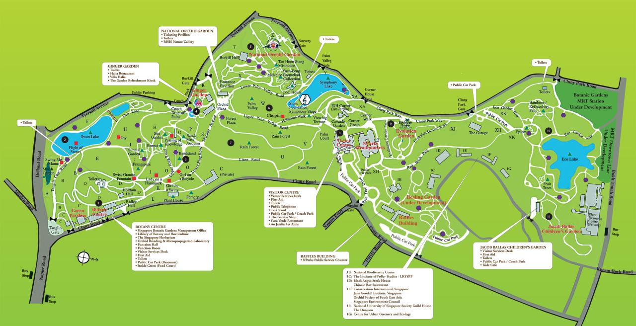 Are Dogs Allowed At National Botanical Gardens Dc Are Dogs Allowed At National Botanical Gardens Dc