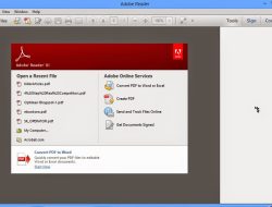 adobe billing invoice Unpacking Its Importance and Functionality