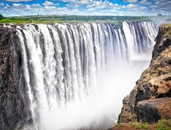 Victoria Gardens Exploring The Essence Of Translation