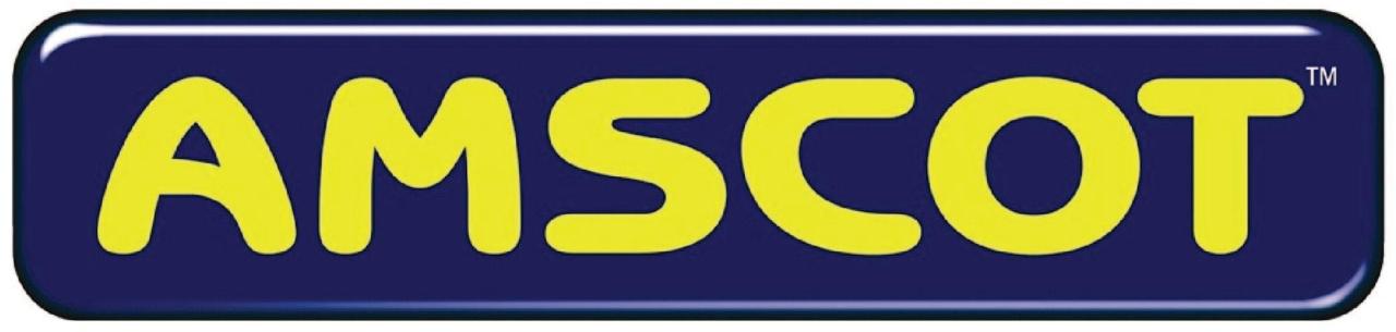 Amscot cash advance payment