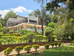 Commercial Vehicle Attorney Navigating Legal Roads