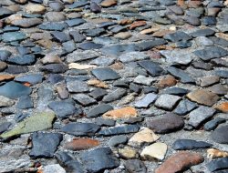 Rock City Gardens A Journey Through Natures Beauty