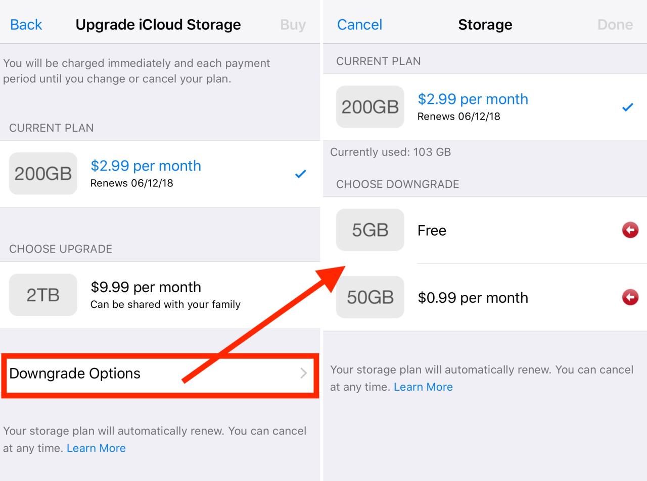 Apple support icloud storage plans - youleqwer