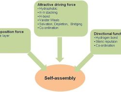 self storage units near me – Find Your Perfect Space