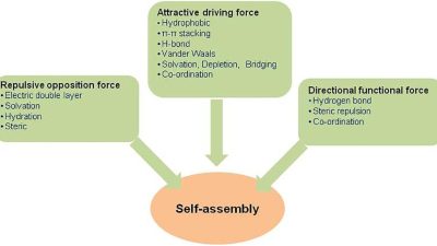 Frontiers | Nanoscale Self-Assembly for Therapeutic Delivery