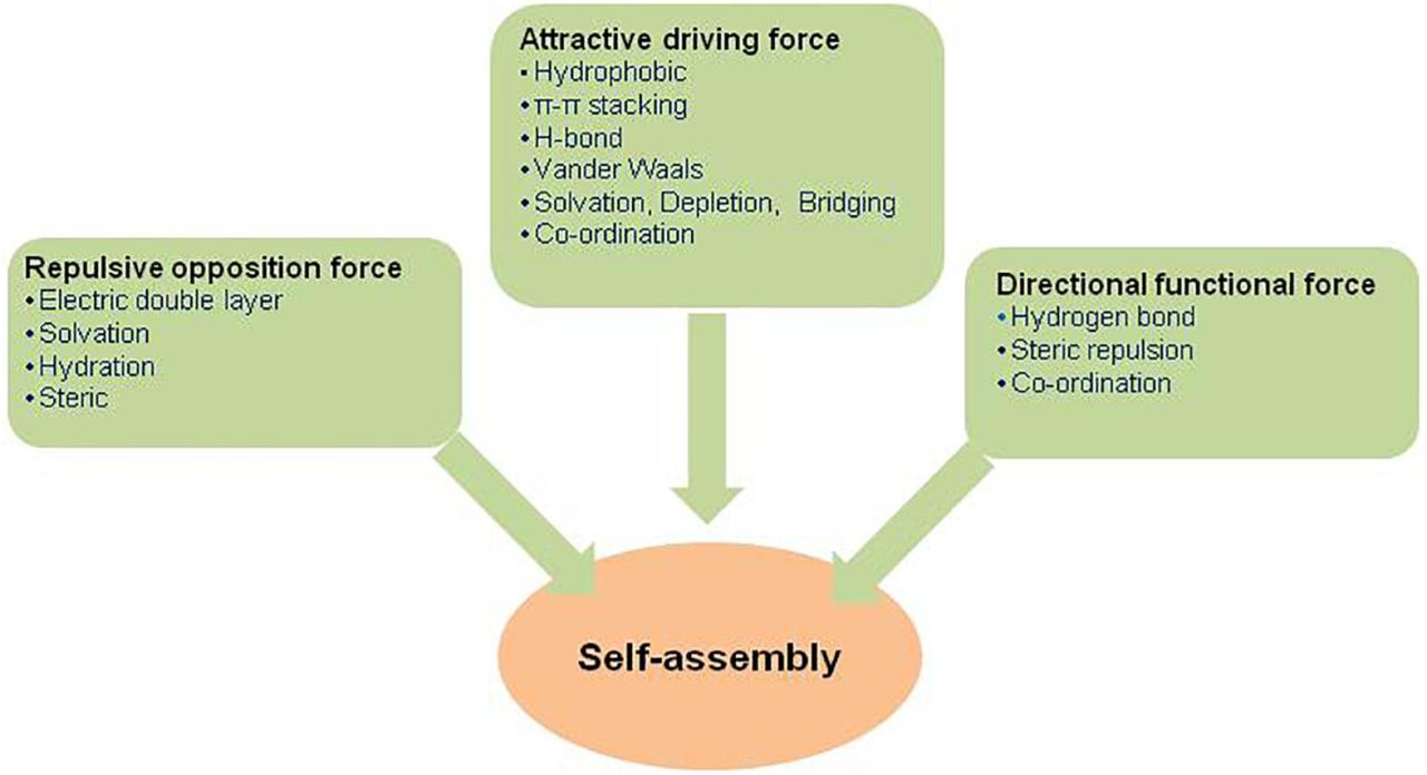 Frontiers | Nanoscale Self-Assembly for Therapeutic Delivery