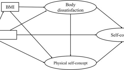 Frontiers | Effect of Physical Activity on Self-Concept: Theoretical ...
