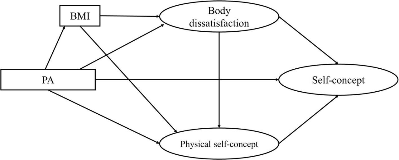 Frontiers | Effect of Physical Activity on Self-Concept: Theoretical ...