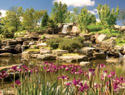 frederik meijer gardens A Serene Escape in Nature