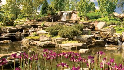 Event Network | partners with Frederik Meijer Gardens | blooloop