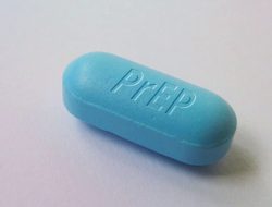 preppas Unveiling the Art of Translation