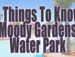 moody gardens An Enchanting Experience Awaits You