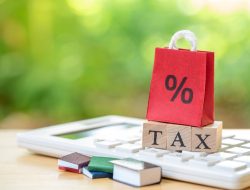Tax prepper essential guide for savvy taxpayers