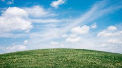 Free Images : landscape, nature, horizon, plant, field, lawn, meadow ...