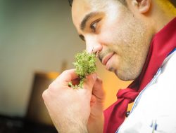 chef prepper Exploring the Essentials of Translation