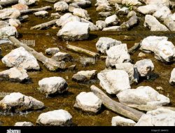 Through-channel Marketing Automation For Effective Outreach