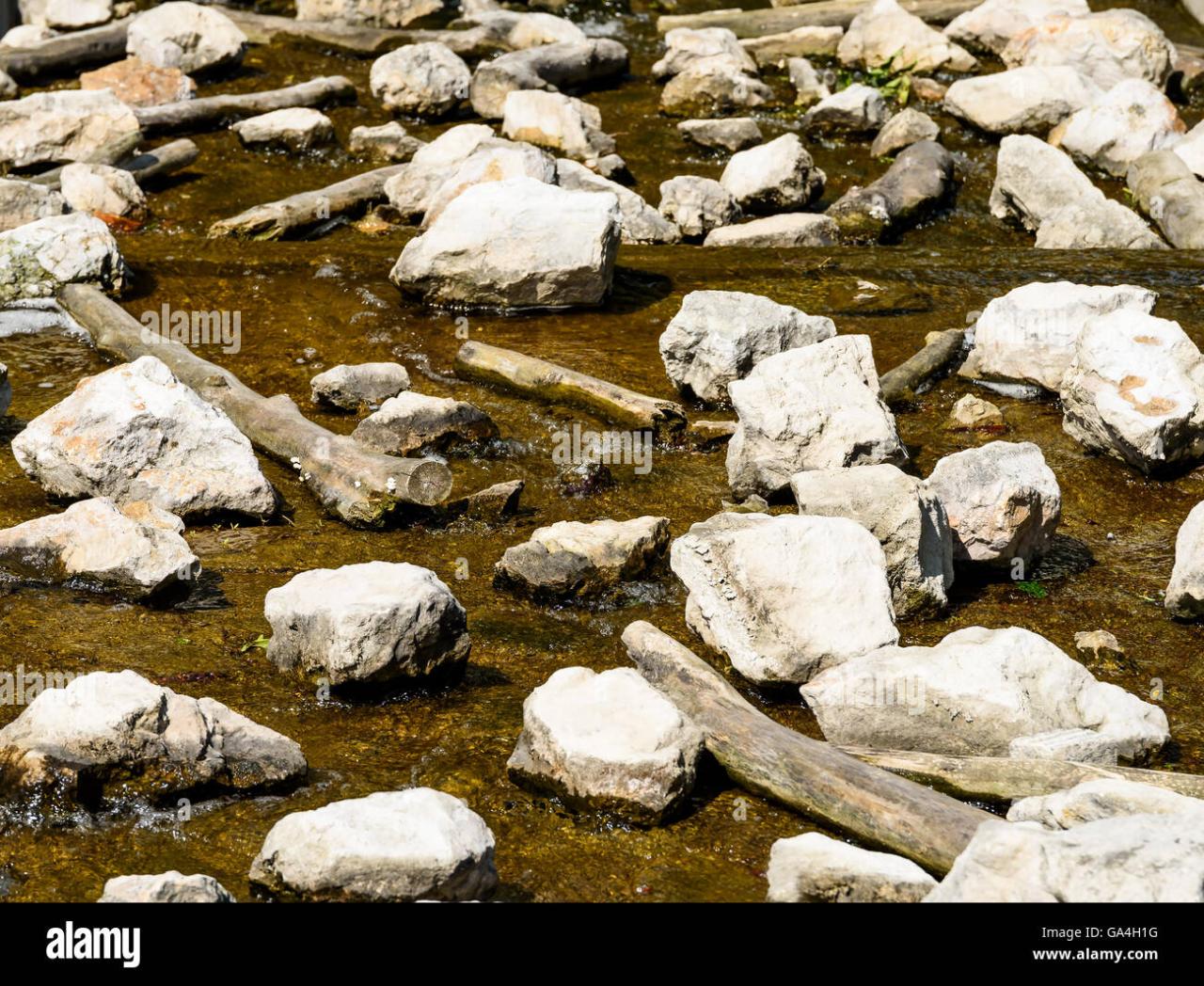 Wild river running through hi-res stock photography and images - Alamy