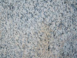 Grey Gardens A Fascinating Exploration Of Translation