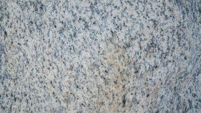 Grey Gardens A Fascinating Exploration Of Translation