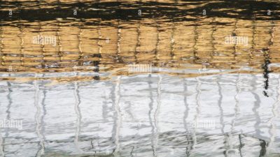 Reflections Water Gardens As A Serene Escape